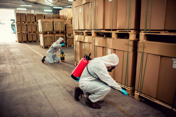 Best Residential Pest Control  in Moose Wilson Road, WY