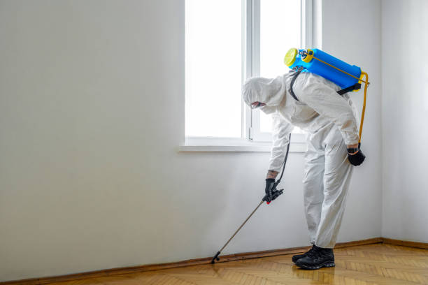 Best Emergency Pest Control  in Moose Wilson Road, WY