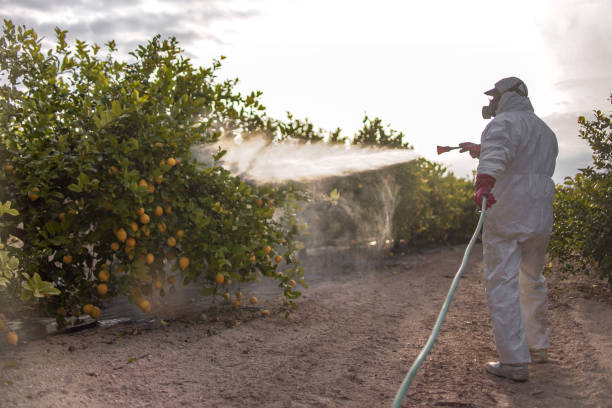 Best Pest Inspection Near Me  in Moose Wilson Road, WY